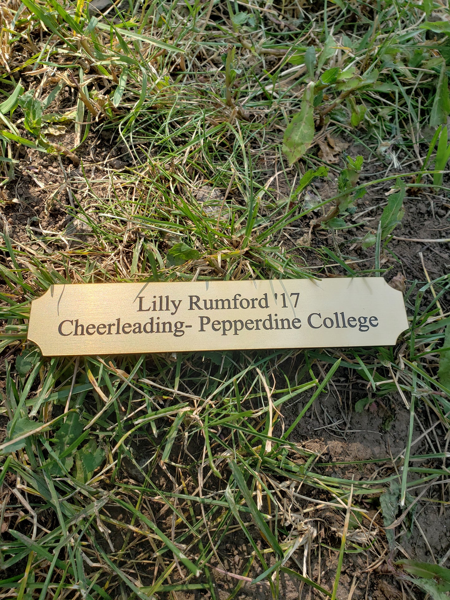 Gold Metal Plate With Black Text Engraving