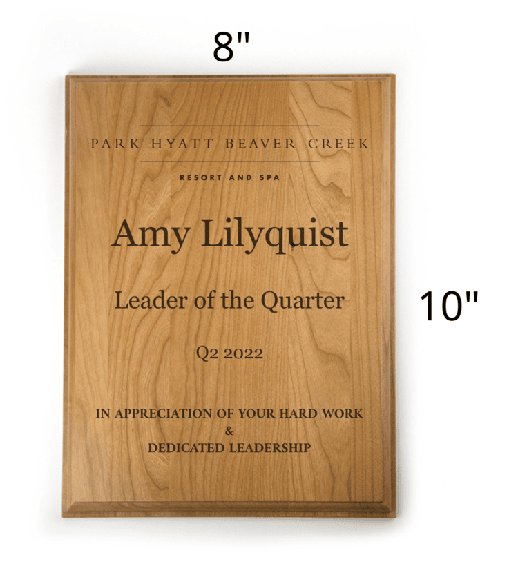 8x10 Park Hyatt Beaver Creek leader of the quarter plaque.